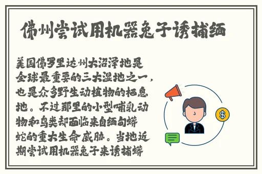 唐三吃宁荣荣两座山
